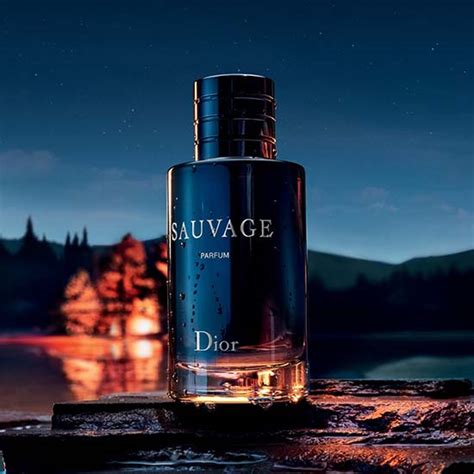 dior sauvage inspired fragrance